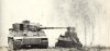 Panzer VI Tiger I (18)
